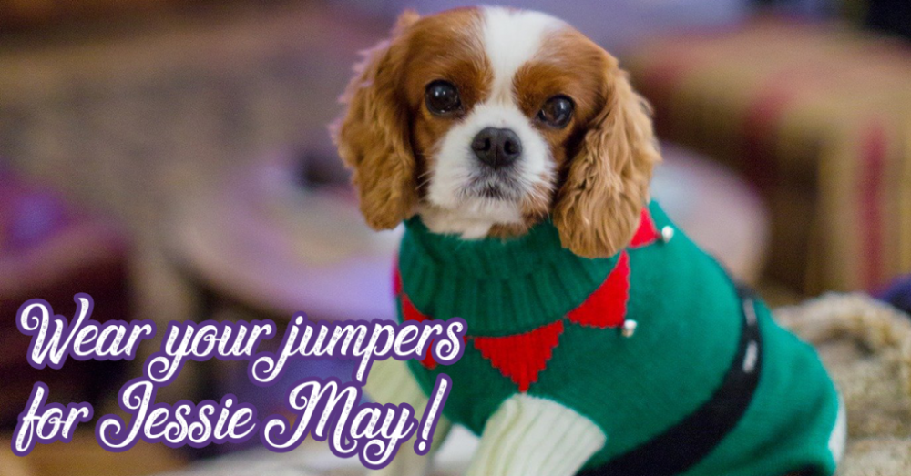 Wear your jumpers for Jessie May!